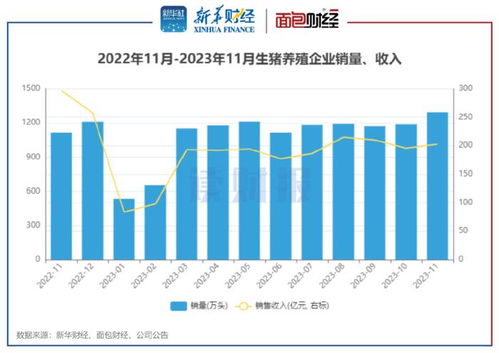 生豬養(yǎng)殖與醫(yī)藥零售雙線觀察 上市豬企11月銷量同比增16%，天邦食品領(lǐng)漲
